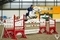 Lexie Lane & Beechmount Romeo win the Scottish Branch South West Championship 2025